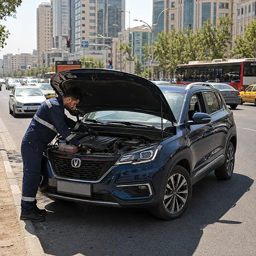 رفع جوش آوردن چانگان